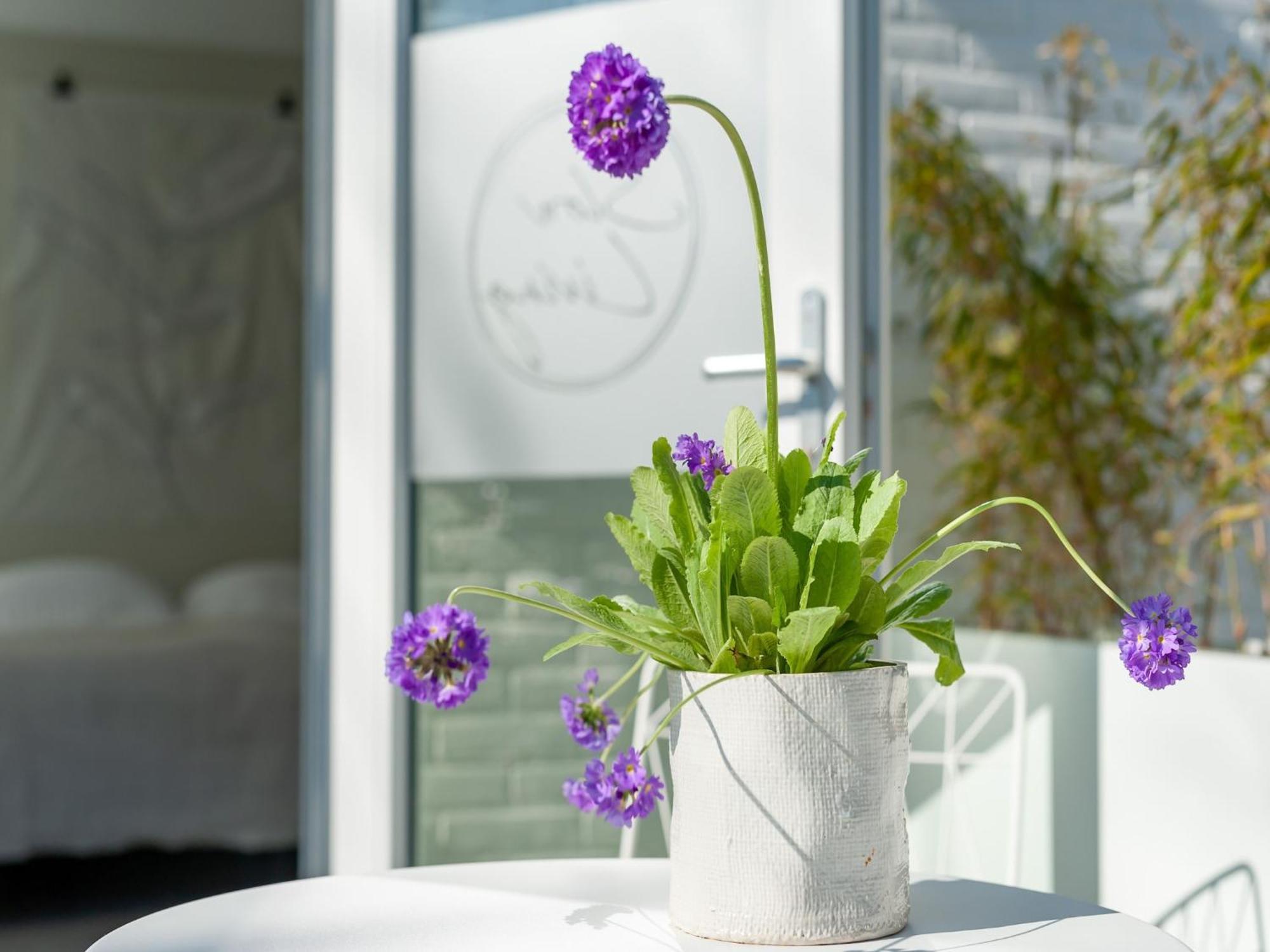 Pleasaing Holiday Home In Oostkapelle Near Centre 외부 사진